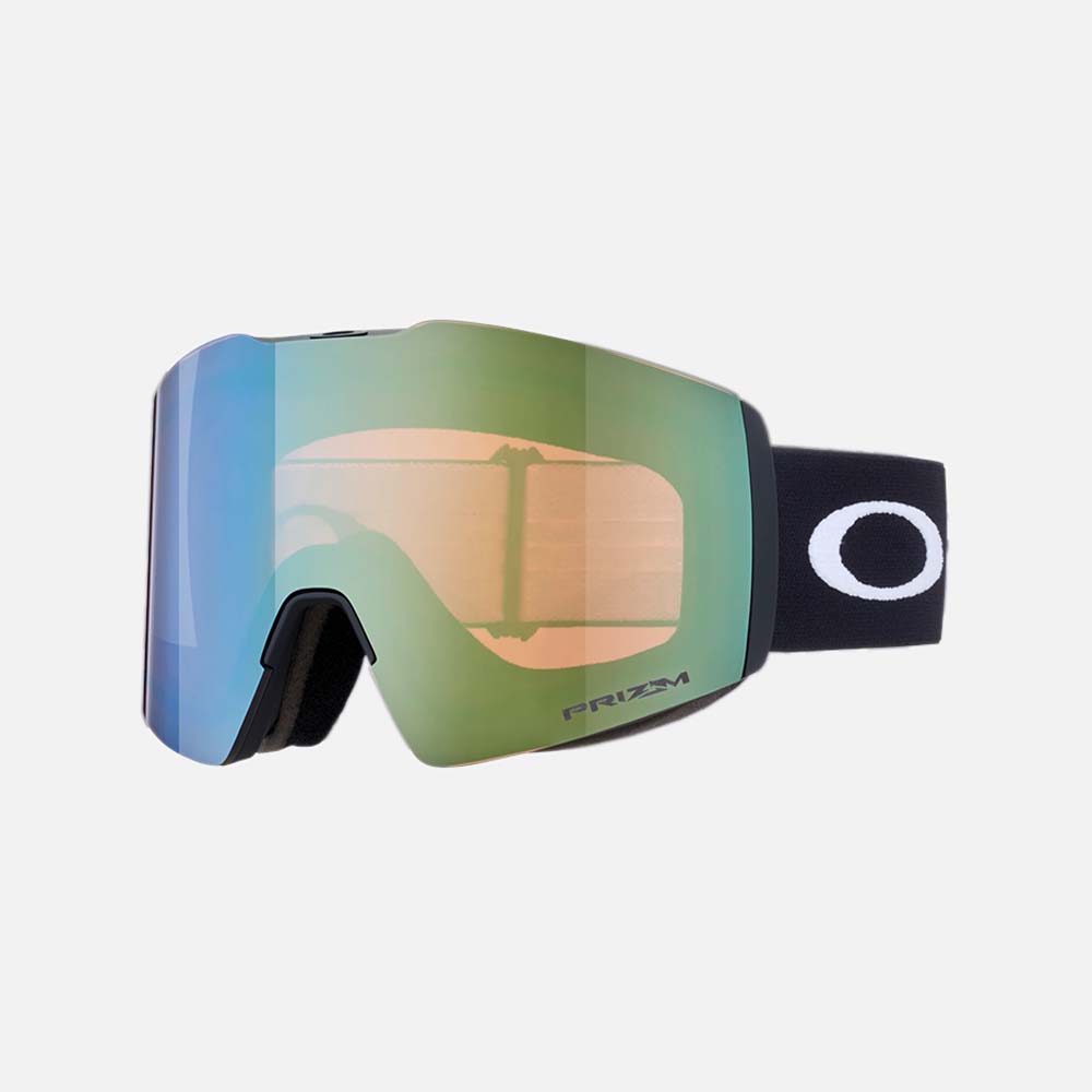 Fall Line L Snow Goggles - Men