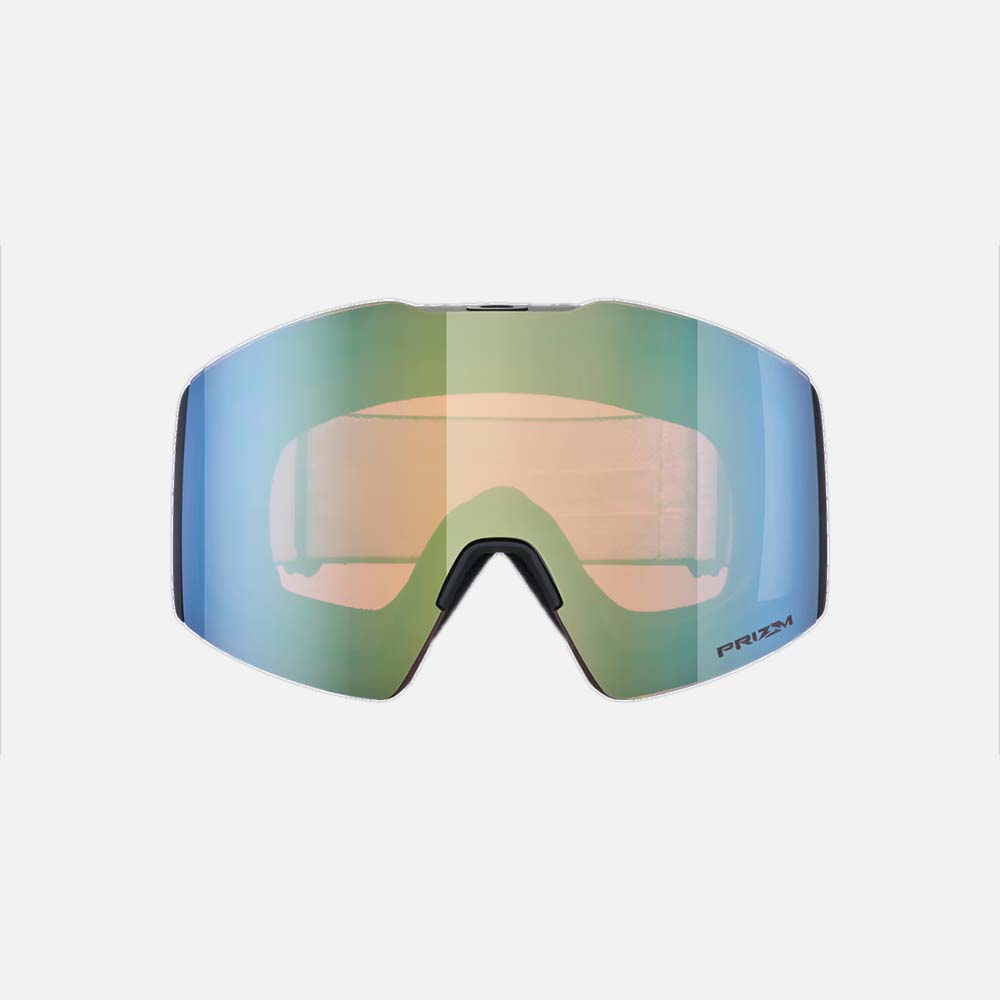 Fall Line L Snow Goggles - Men