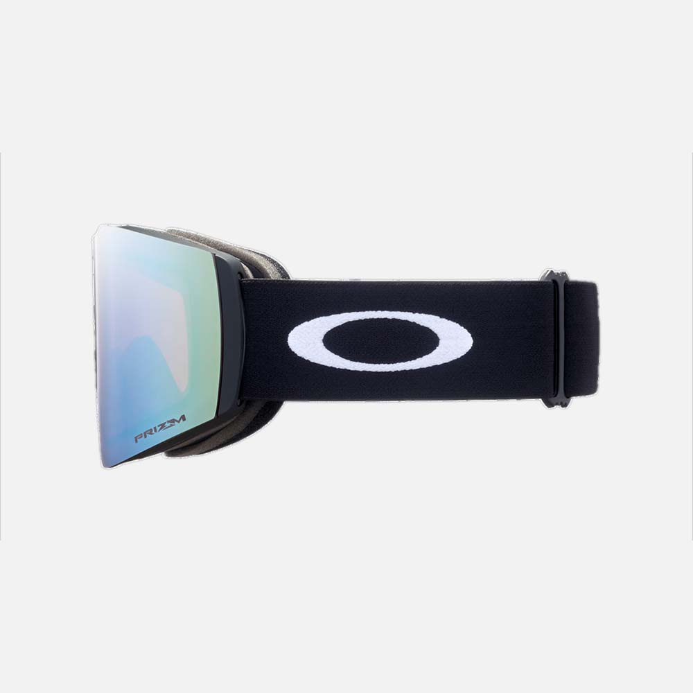 Fall Line L Snow Goggles - Men