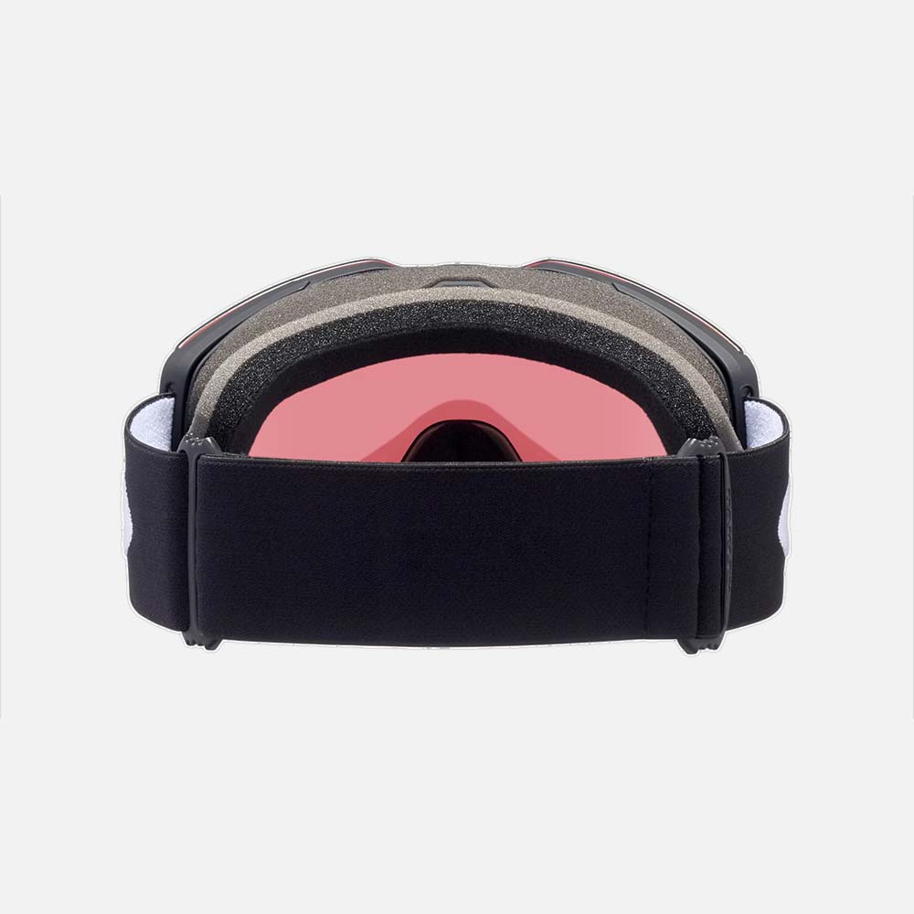 Fall Line L Snow Goggles - Men