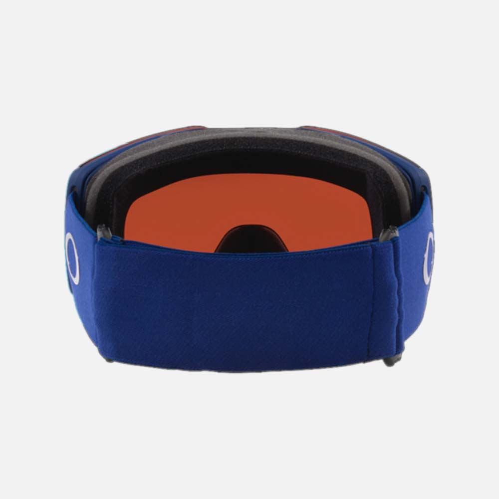 Fall Line L Snow Goggles - Men