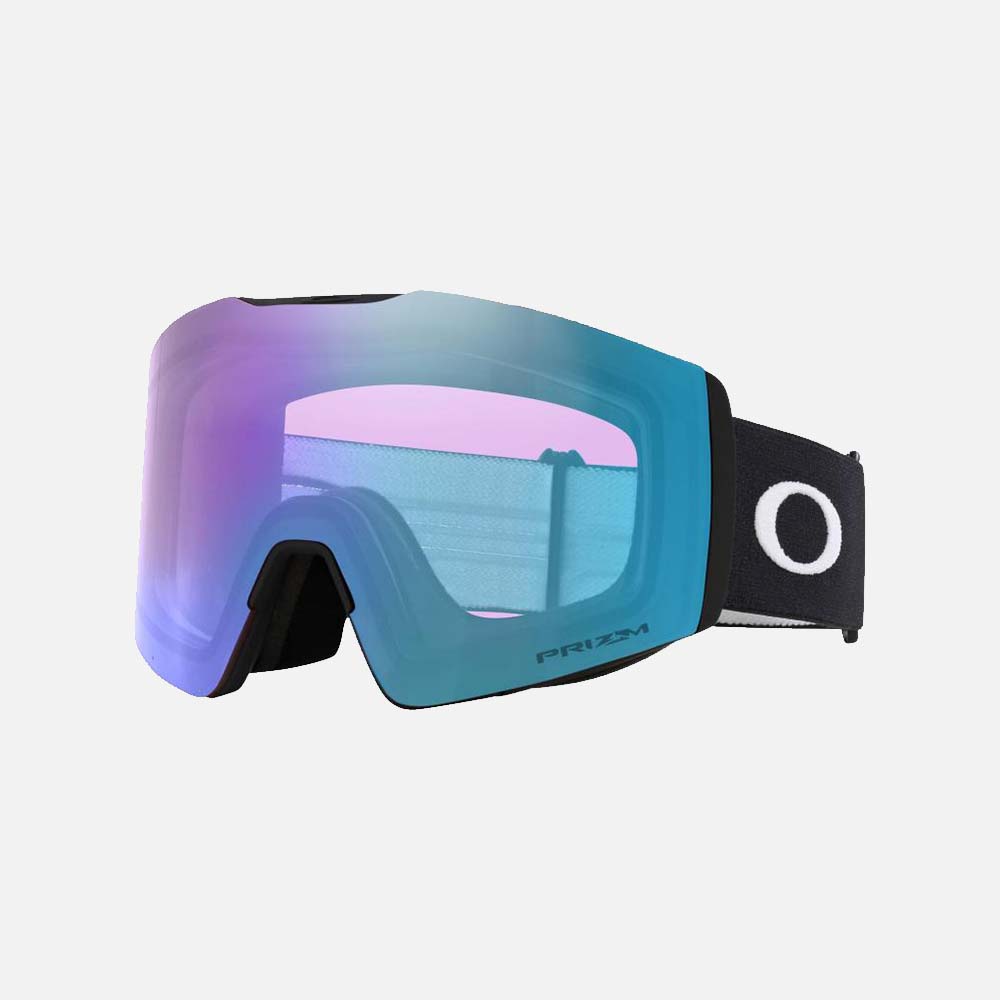 Fall Line L Snow Goggles - Men