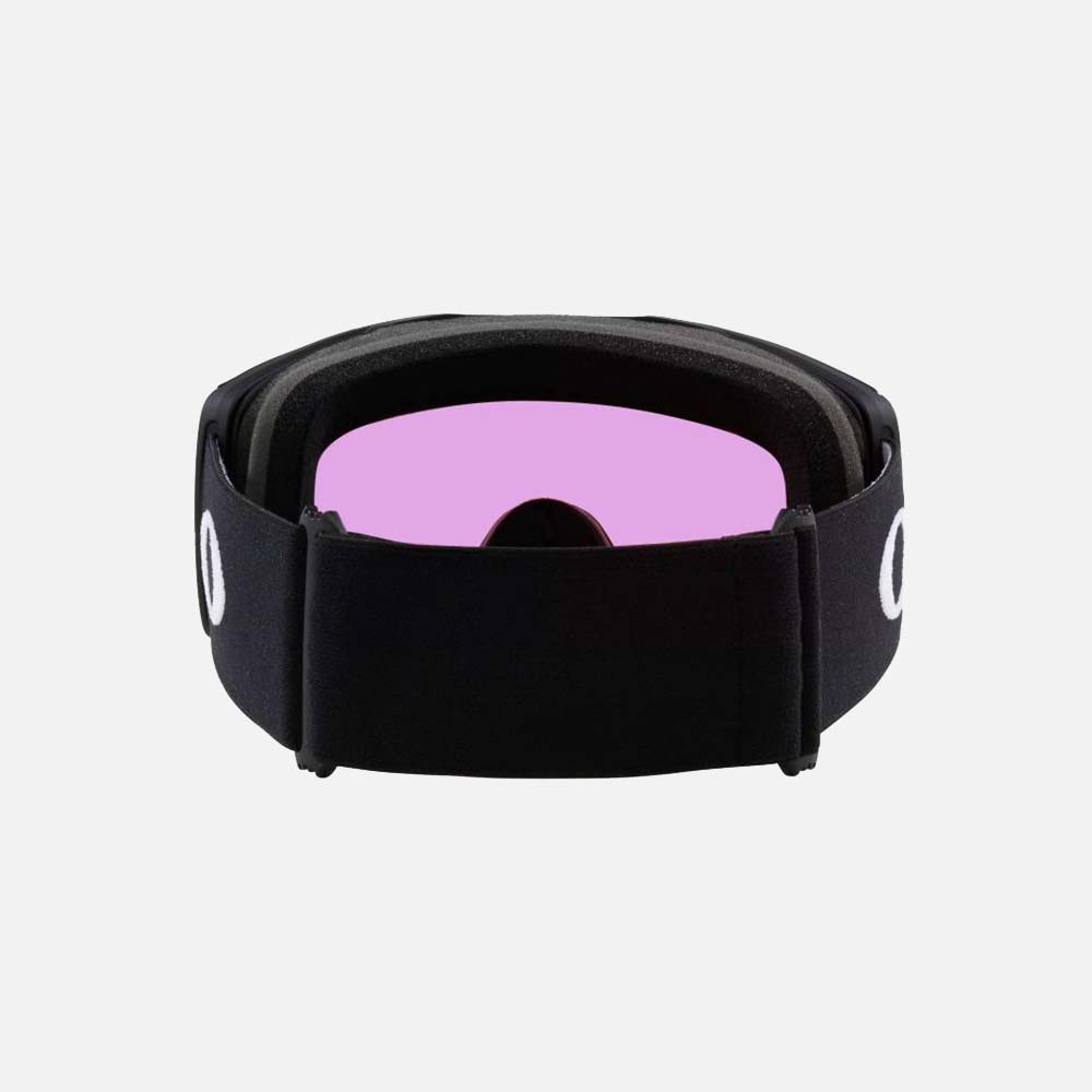 Fall Line L Snow Goggles - Men