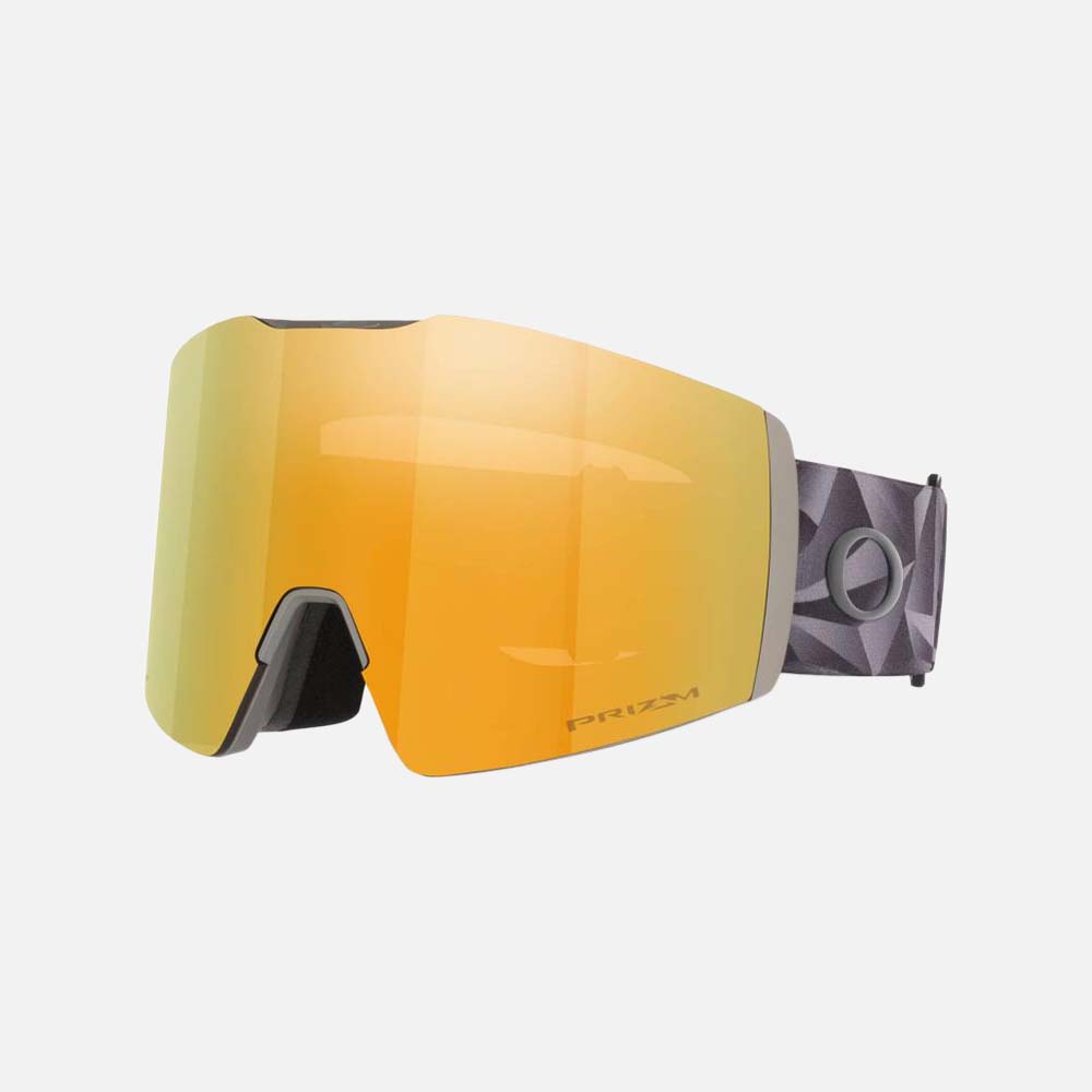 Fall Line L Snow Goggles - Men