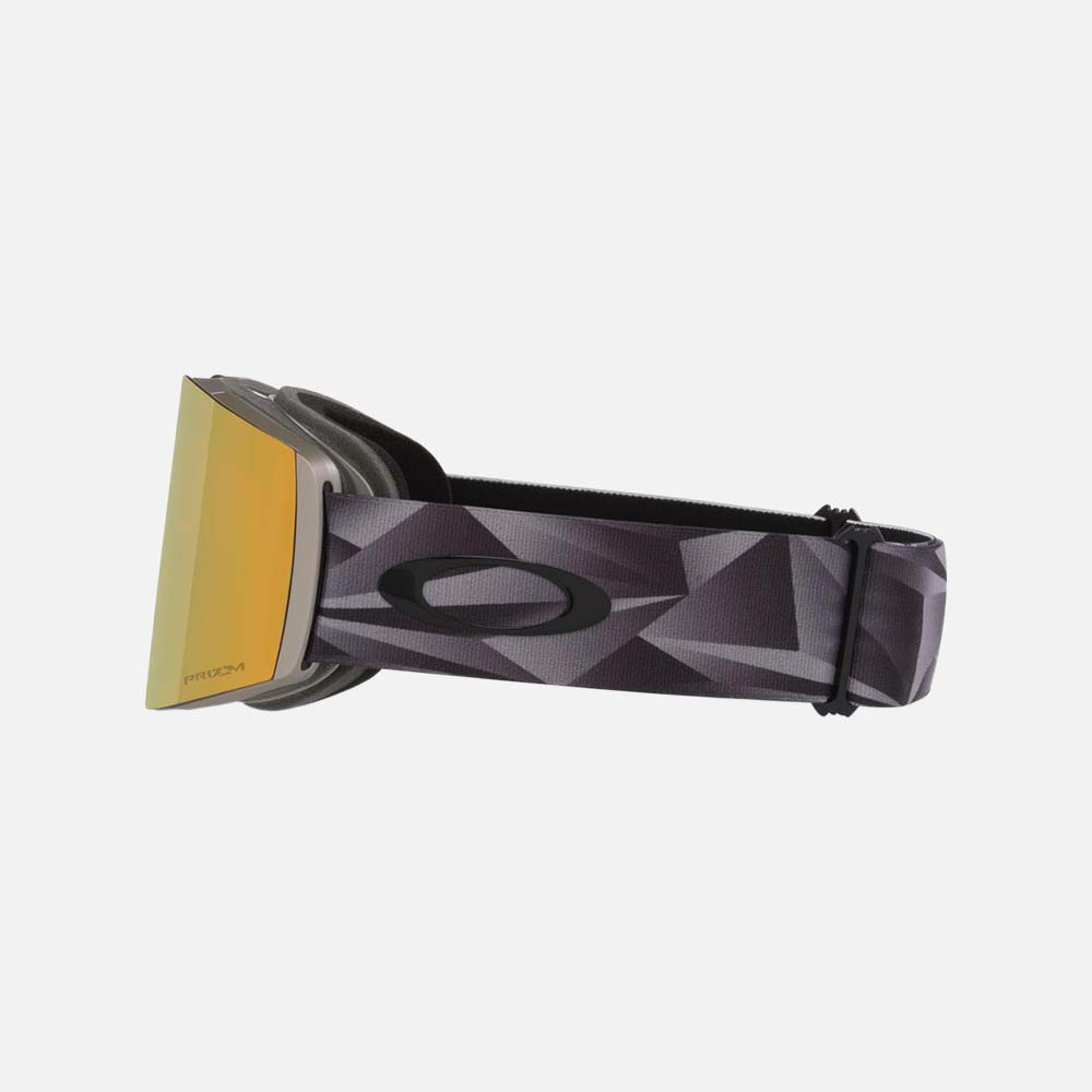 Fall Line L Snow Goggles - Men