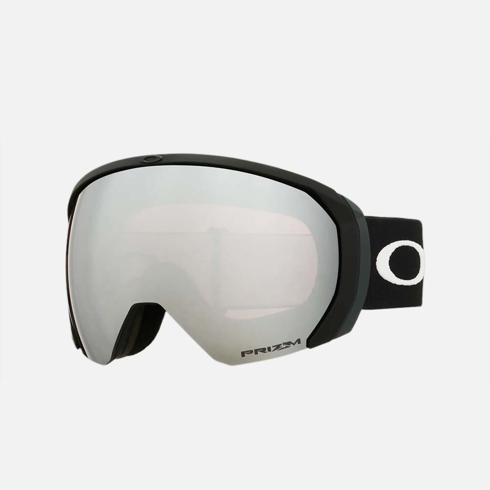 Flight Path L Snow Goggles - Men