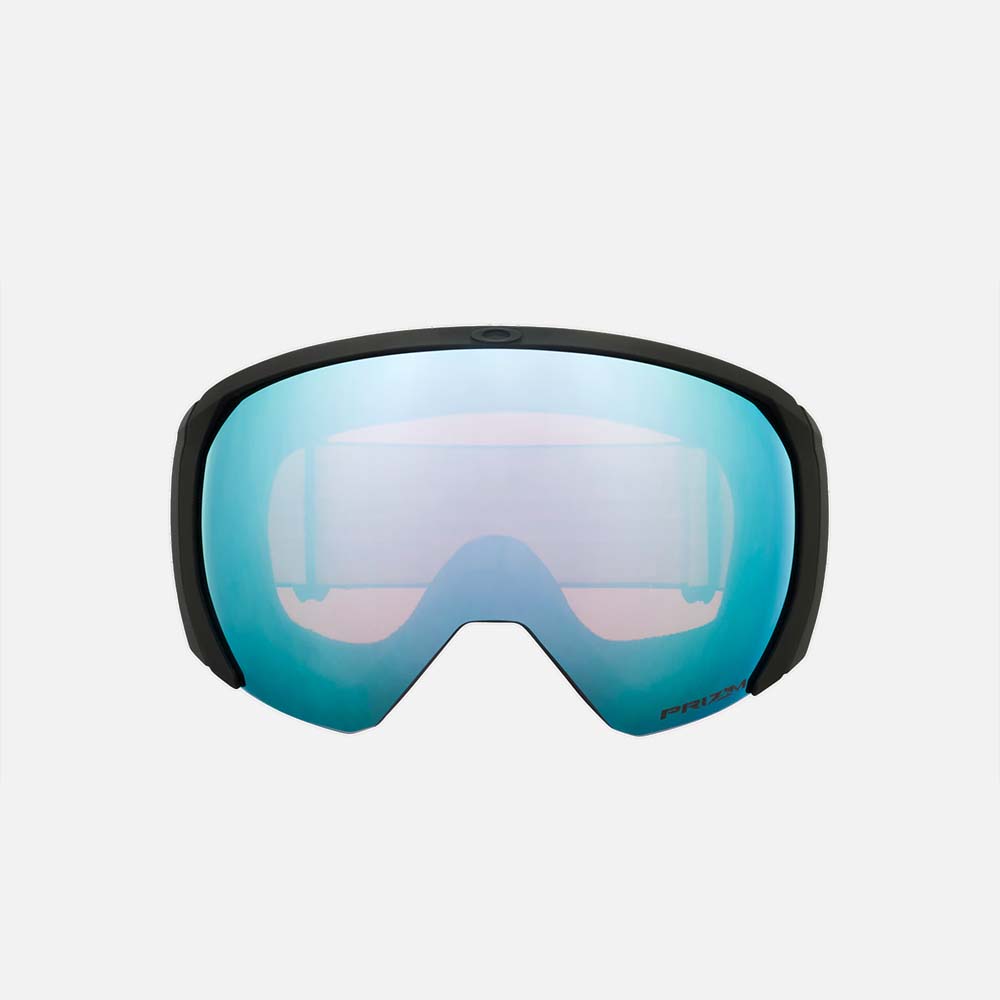 Flight Path L Snow Goggles - Men