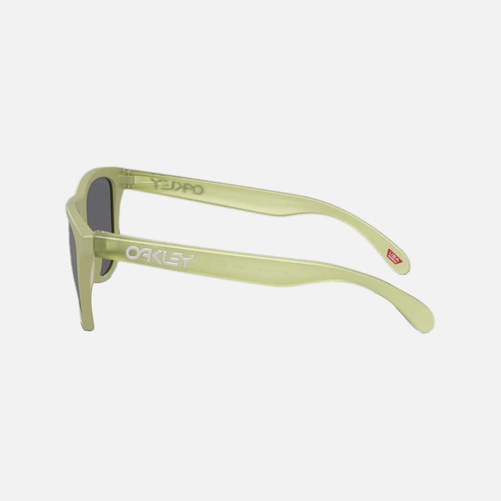 Frogskins Sunglasses - Men
