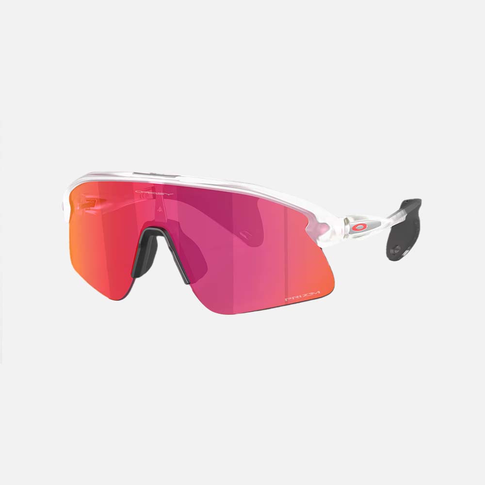 Stunt Devil Sunglasses - Men