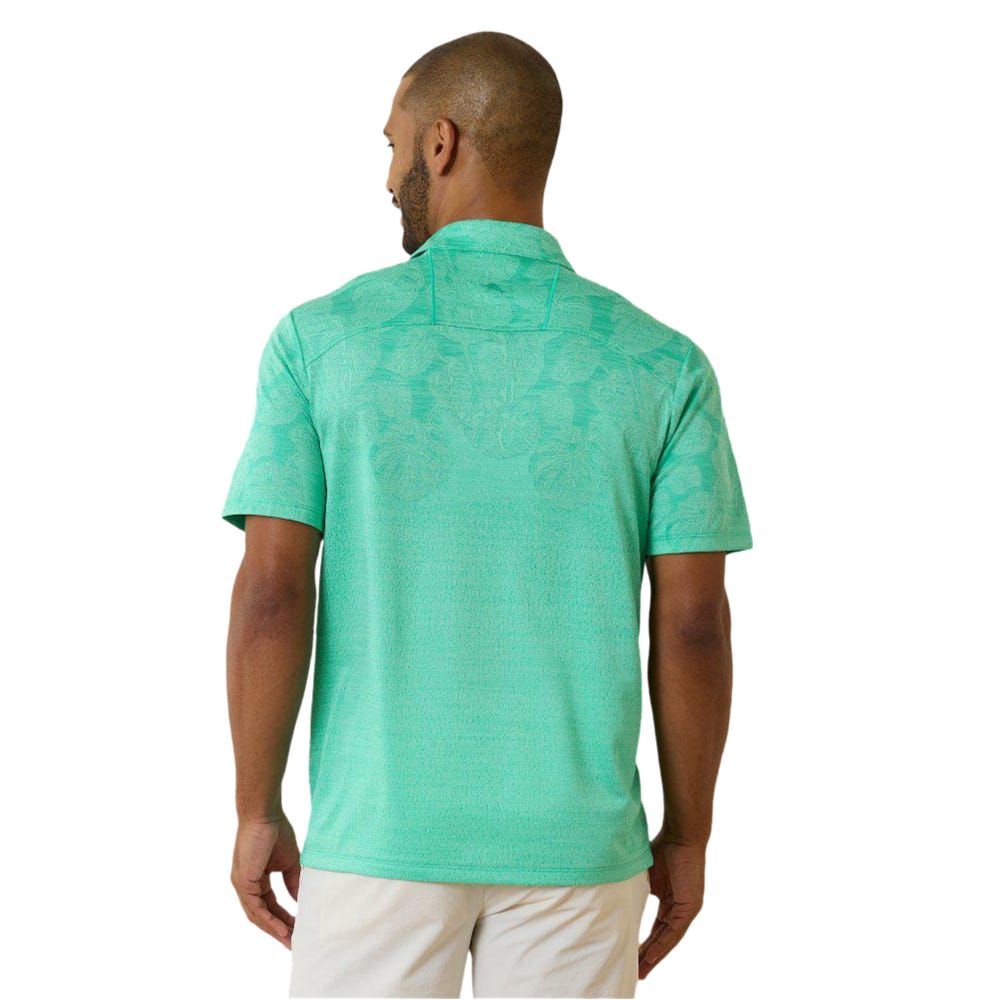 T02ST226424-12848_CYGN_2