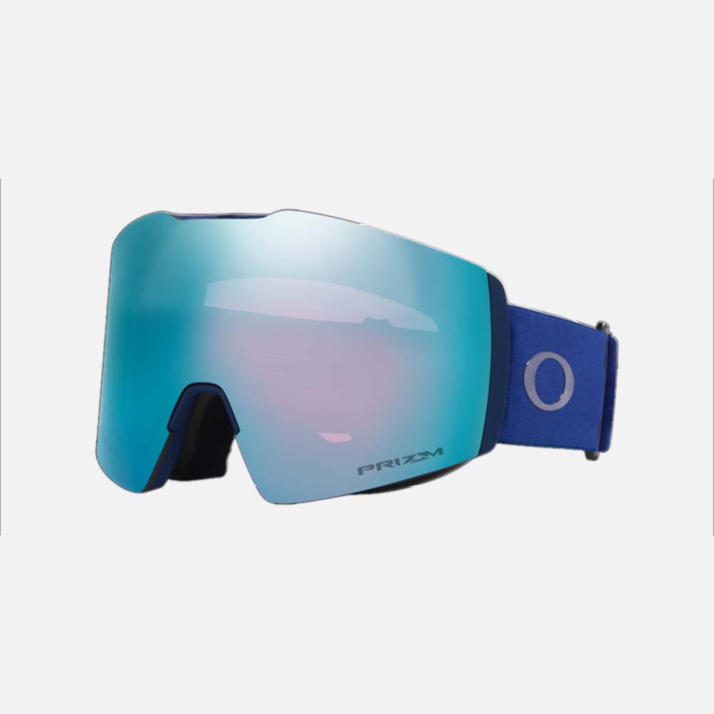 Fall Line L Snow Goggles - Men
