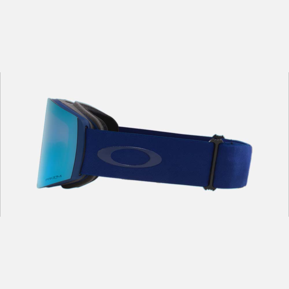 Fall Line L Snow Goggles - Men