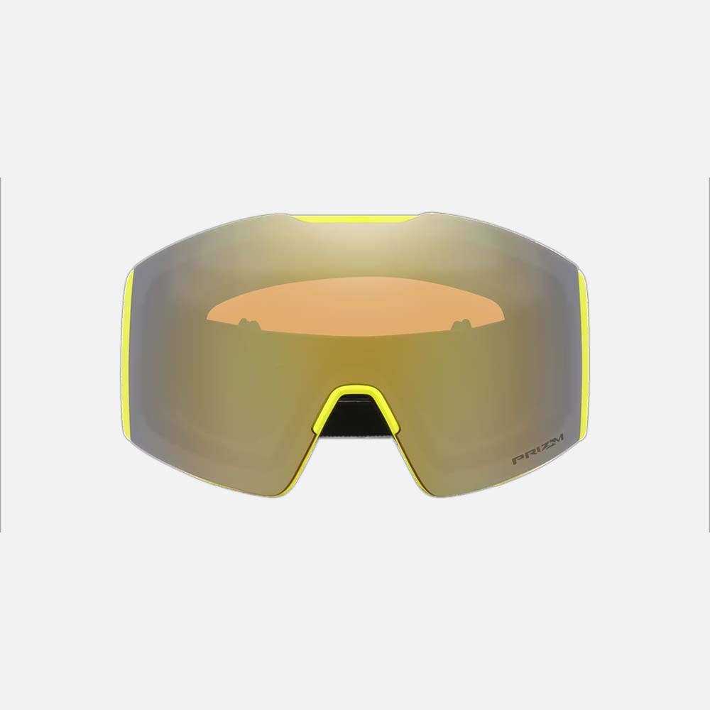 Fall Line L Snow Goggles - Men