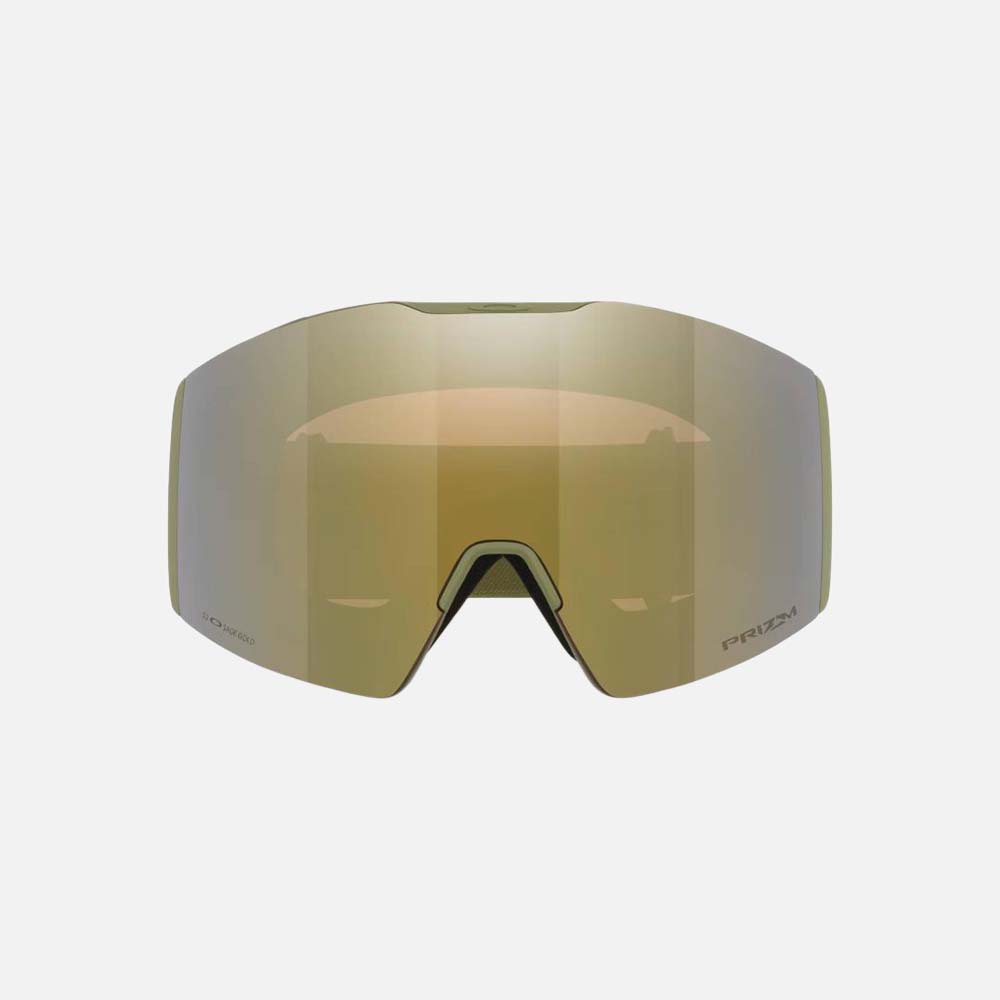 Fall Line L Snow Goggles - Men