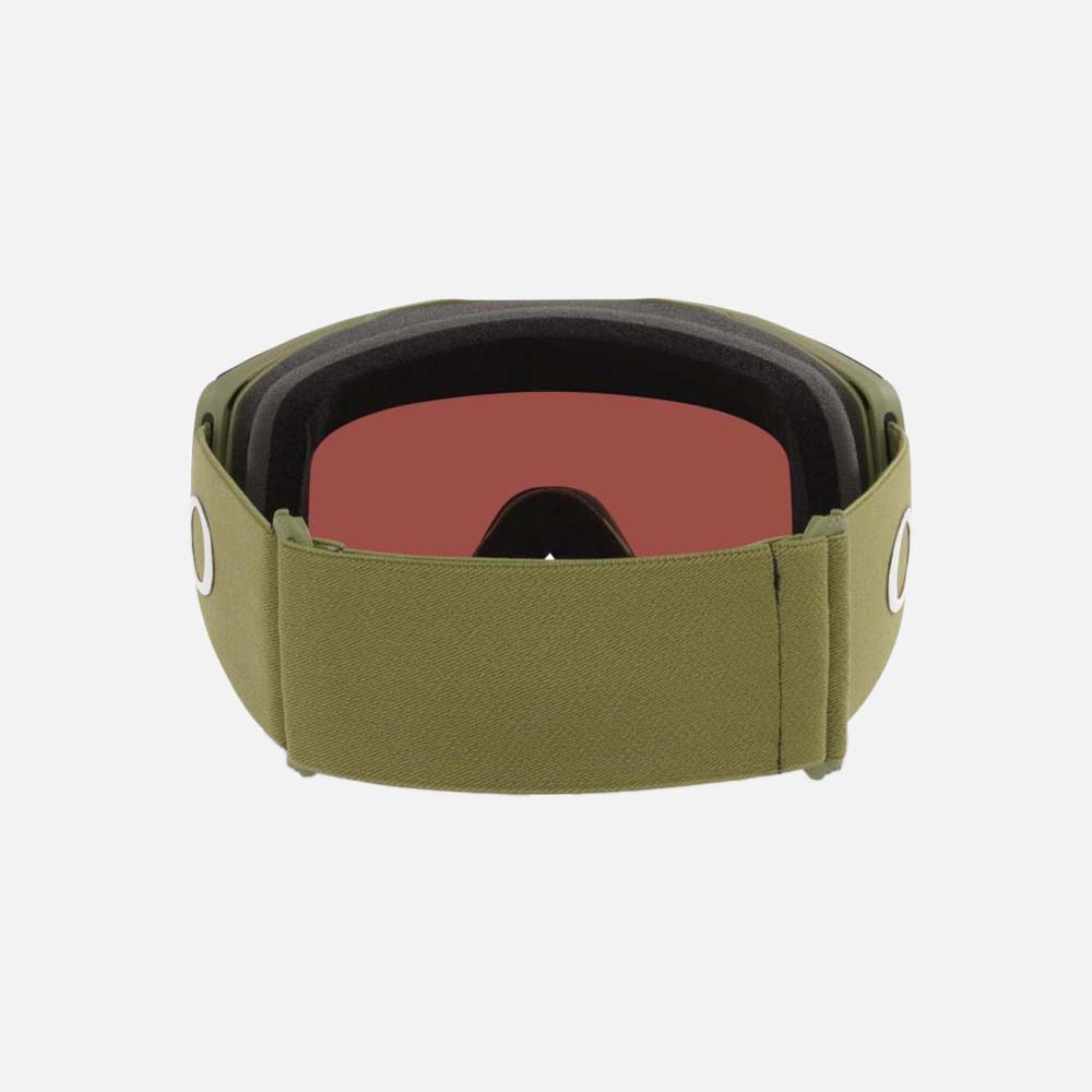 Fall Line L Snow Goggles - Men