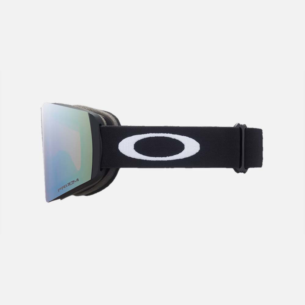 Fall Line M Snow Goggles - Men