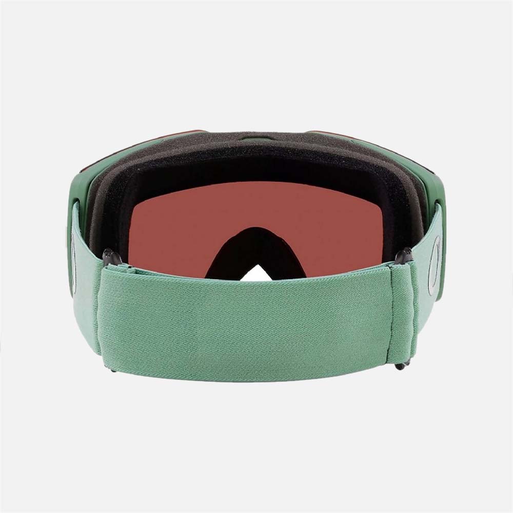 Fall Line M Snow Goggles - Men