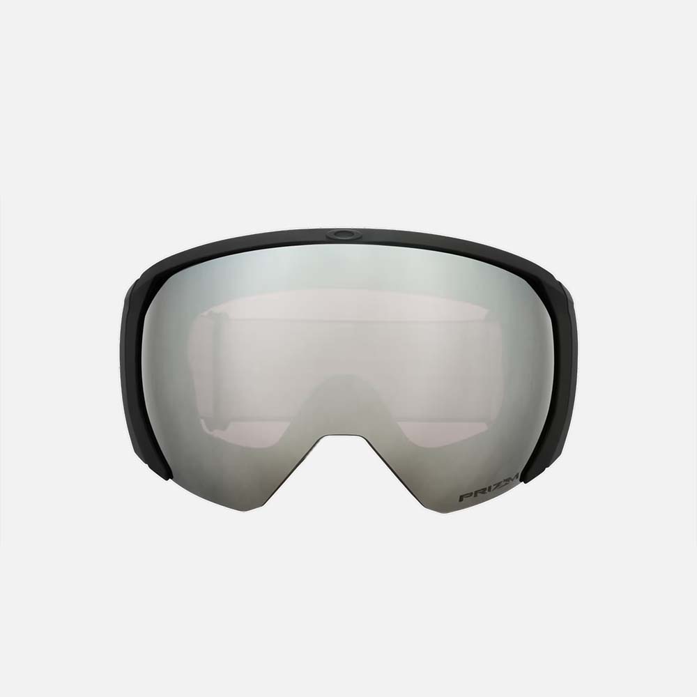 Flight Path L Snow Goggles - Men