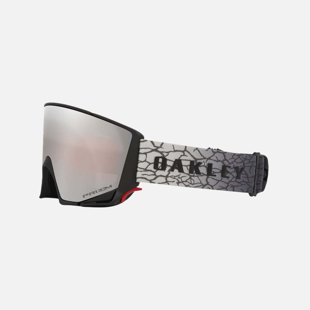 Flow Scape M Snow Goggles - Men