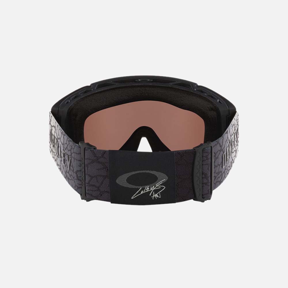 Flow Scape M Snow Goggles - Men