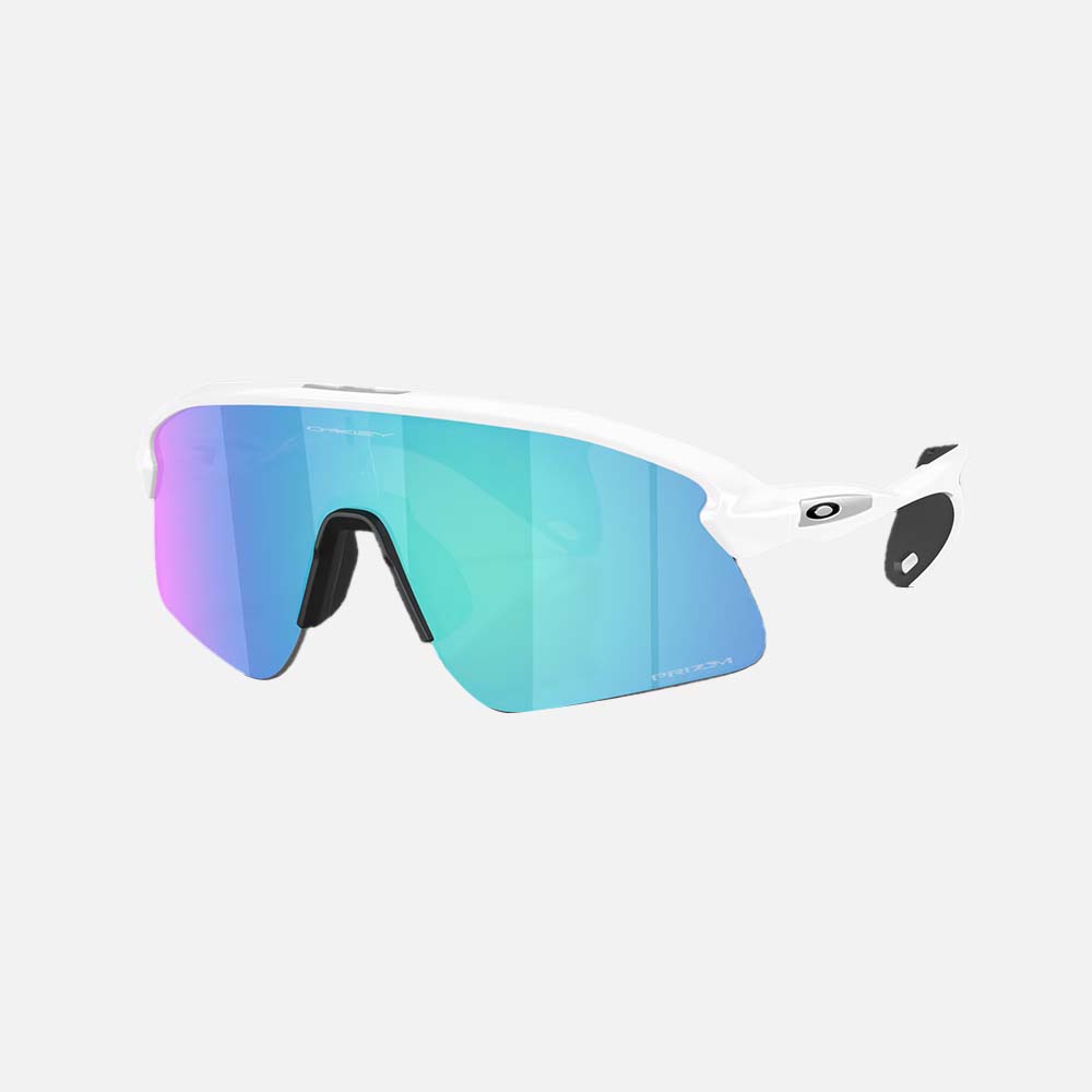 Stunt Devil Sunglasses - Men