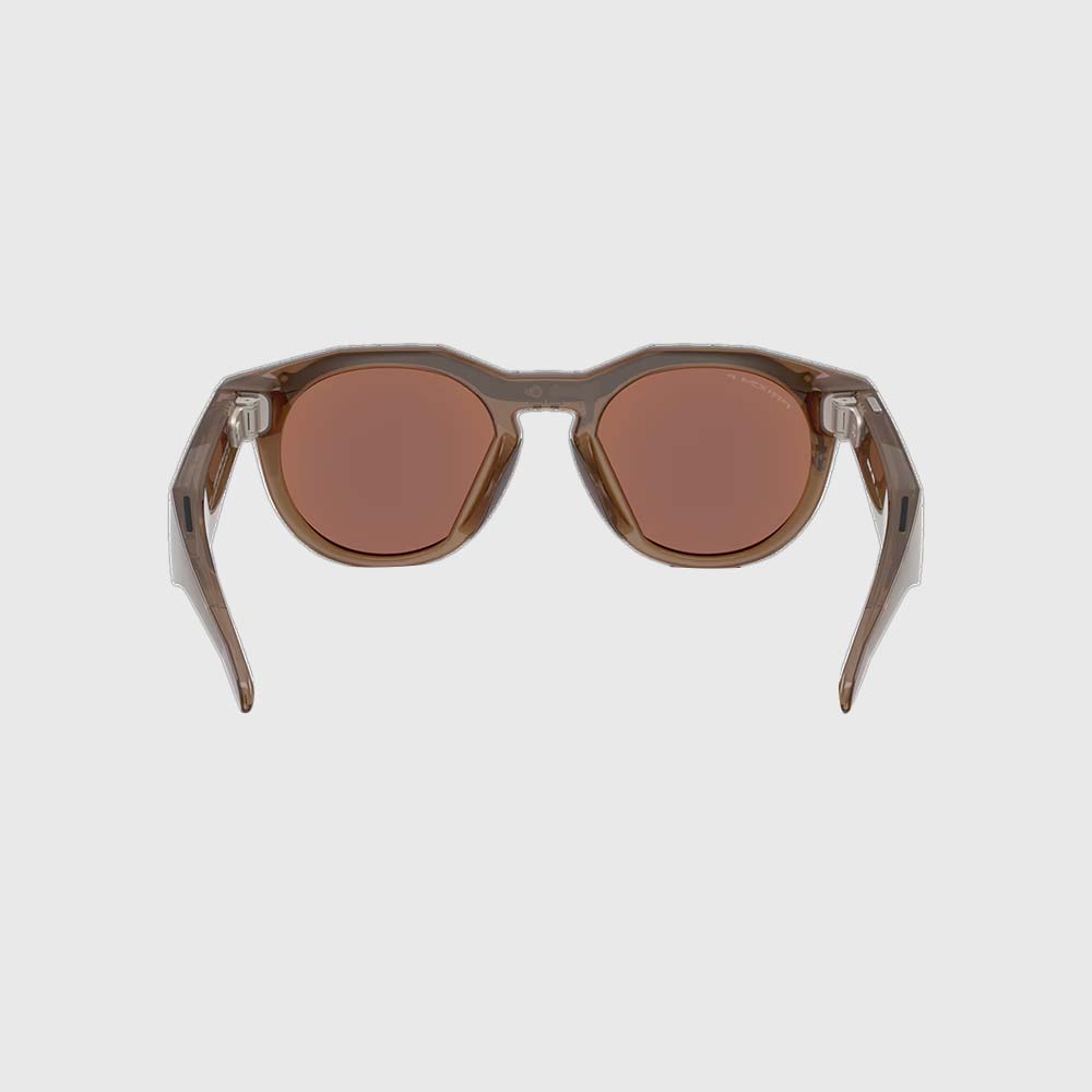 HSTN Meta AI Glasses