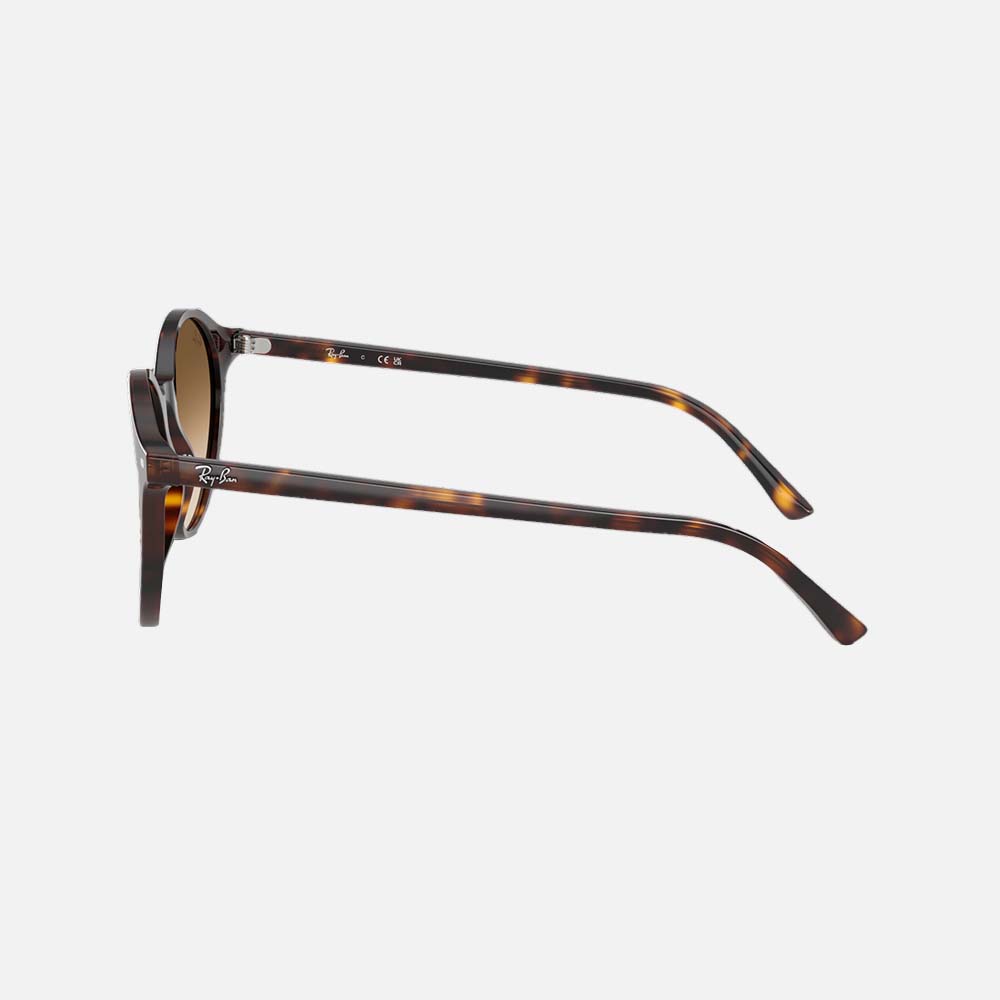 Bernard Sunglasses - Unisex