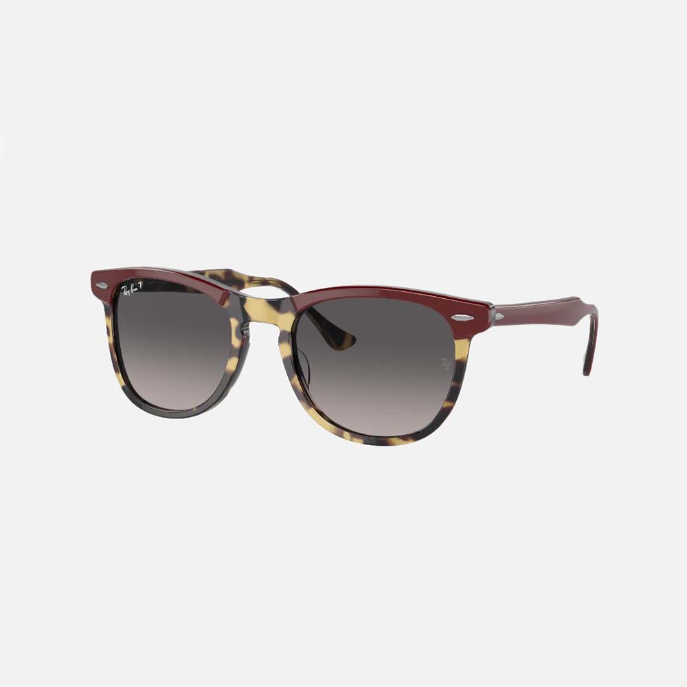 Eagle Eye Sunglasses - Men