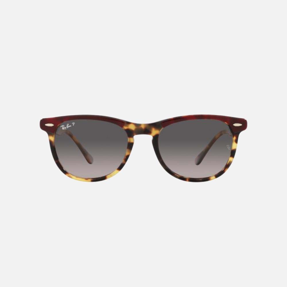 Eagle Eye Polarised Sunglasses - Men
