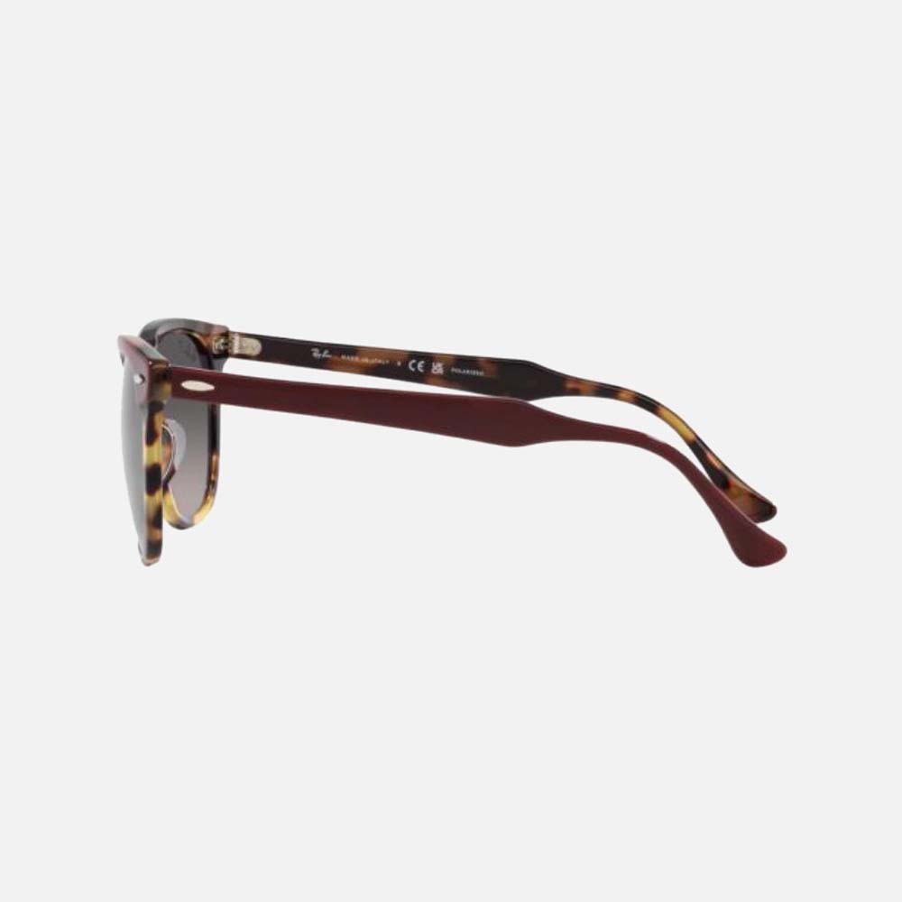Eagle Eye Polarised Sunglasses - Men