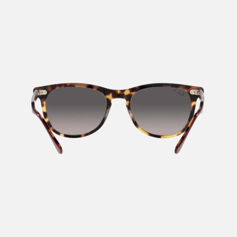 Eagle Eye Sunglasses - Men