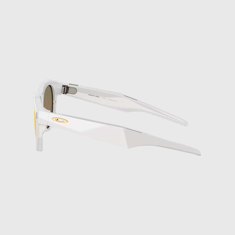 HSTN Meta AI Glasses