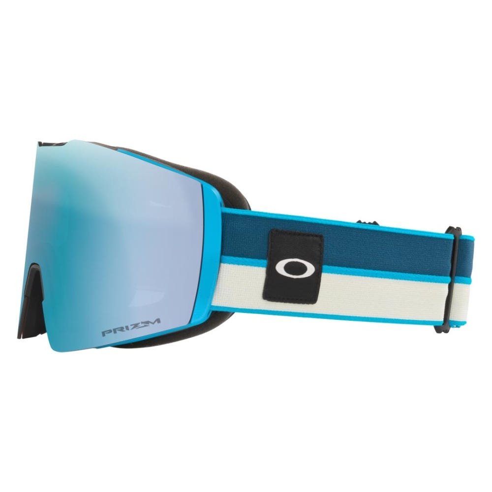 Fall Line L Goggle - Men