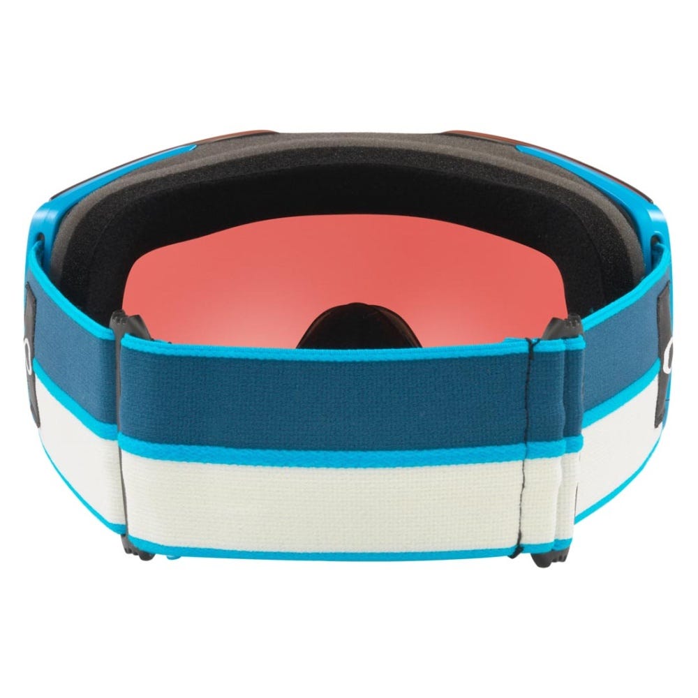Fall Line L Goggle - Men