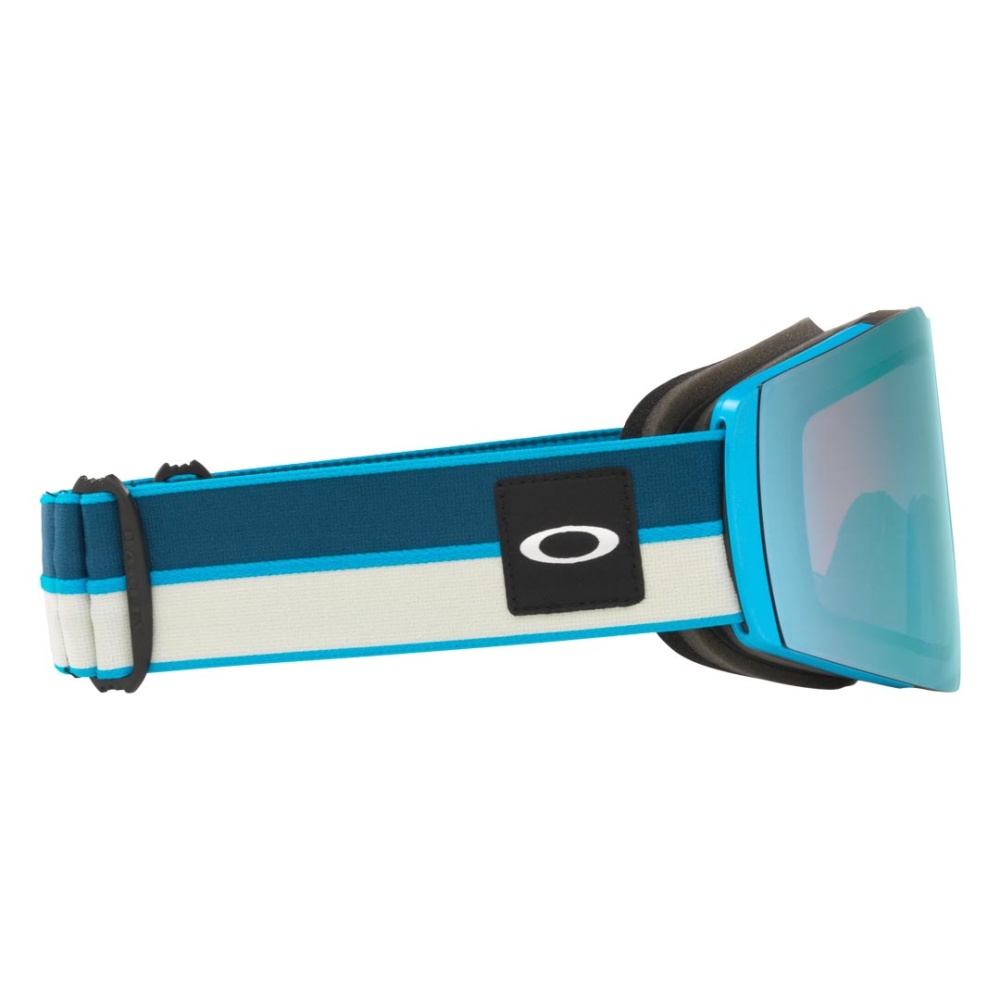 Fall Line L Goggle - Men