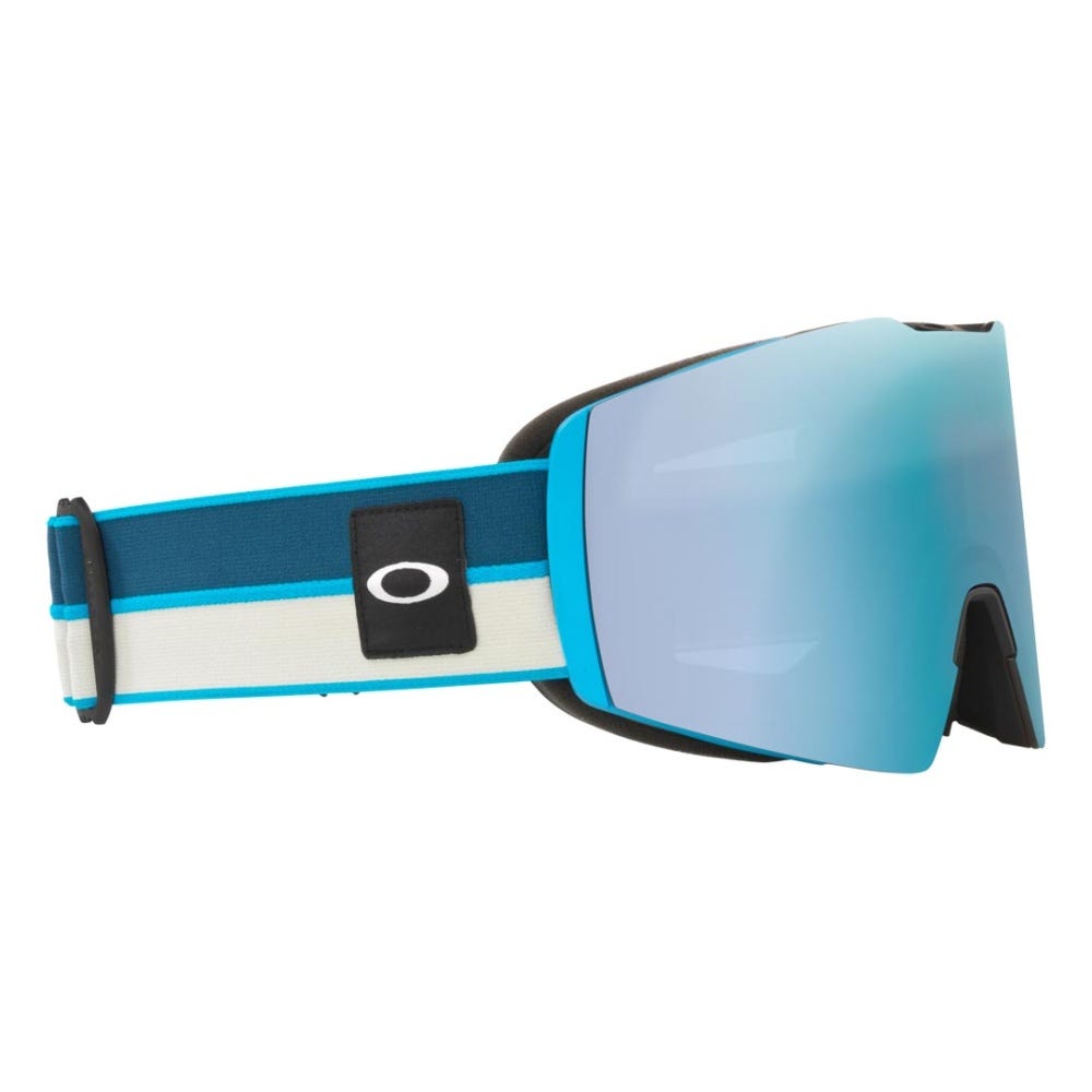 Fall Line L Goggle - Men