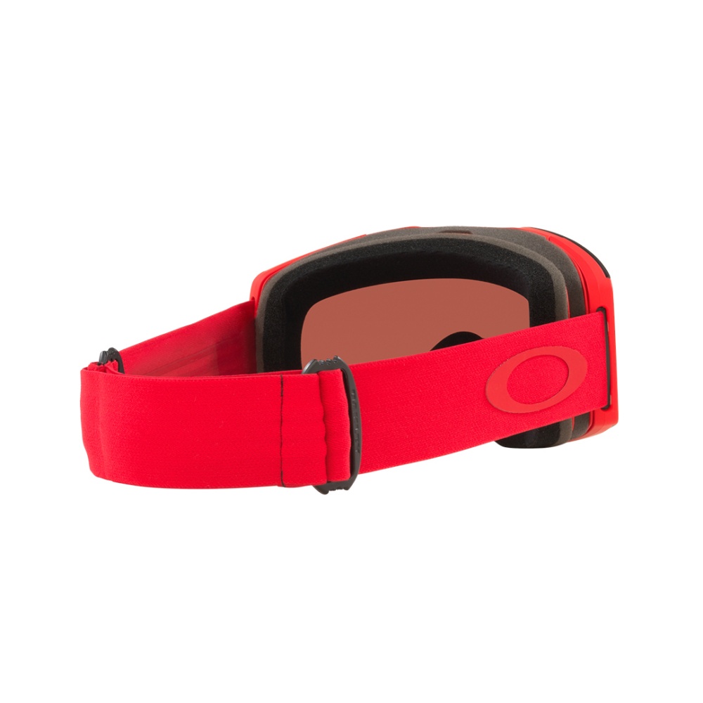 Fall Line M Goggle - Men