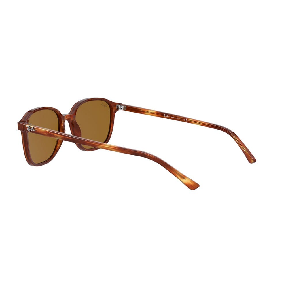 Leonard Sunglass - Men