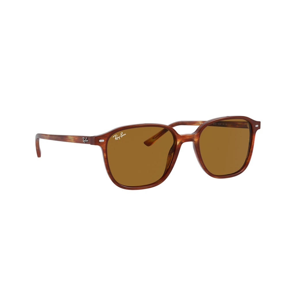 Leonard Sunglass - Men