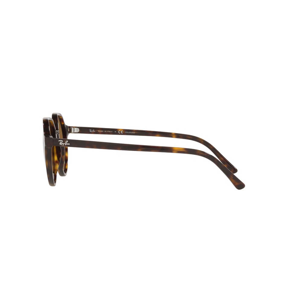 Thalia Sunglass - Men