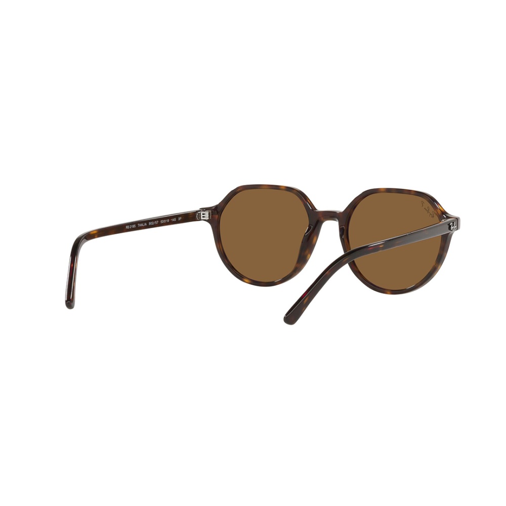 Thalia Sunglass - Men