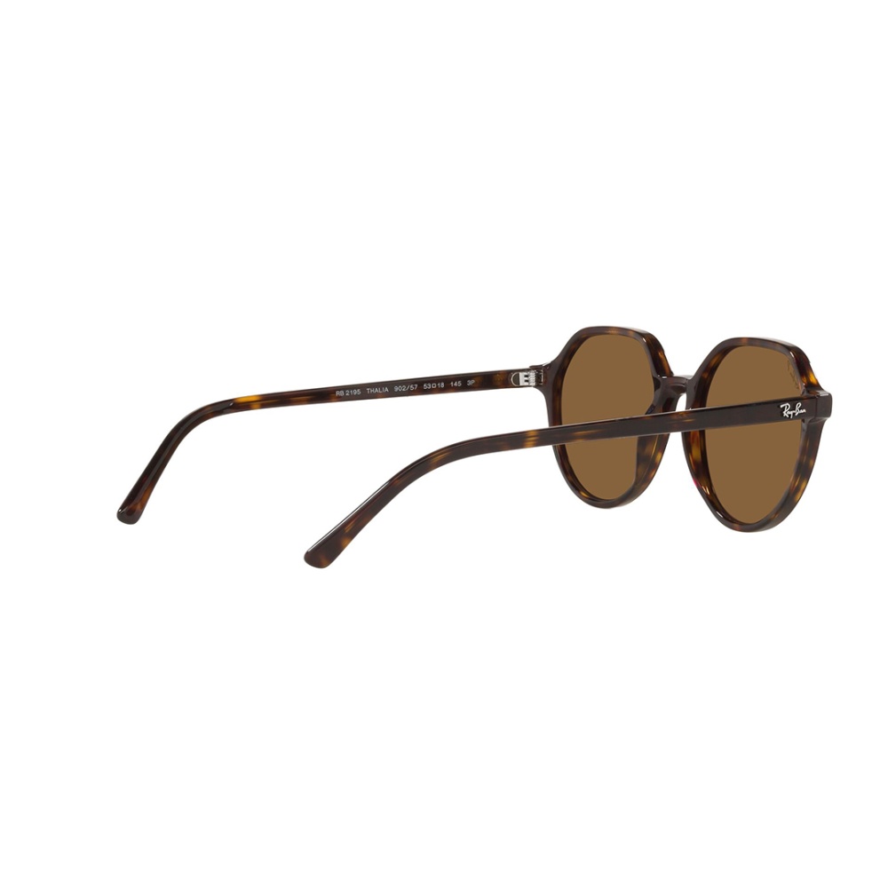 Thalia Sunglass - Men