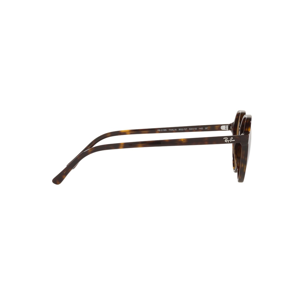 Thalia Sunglass - Men