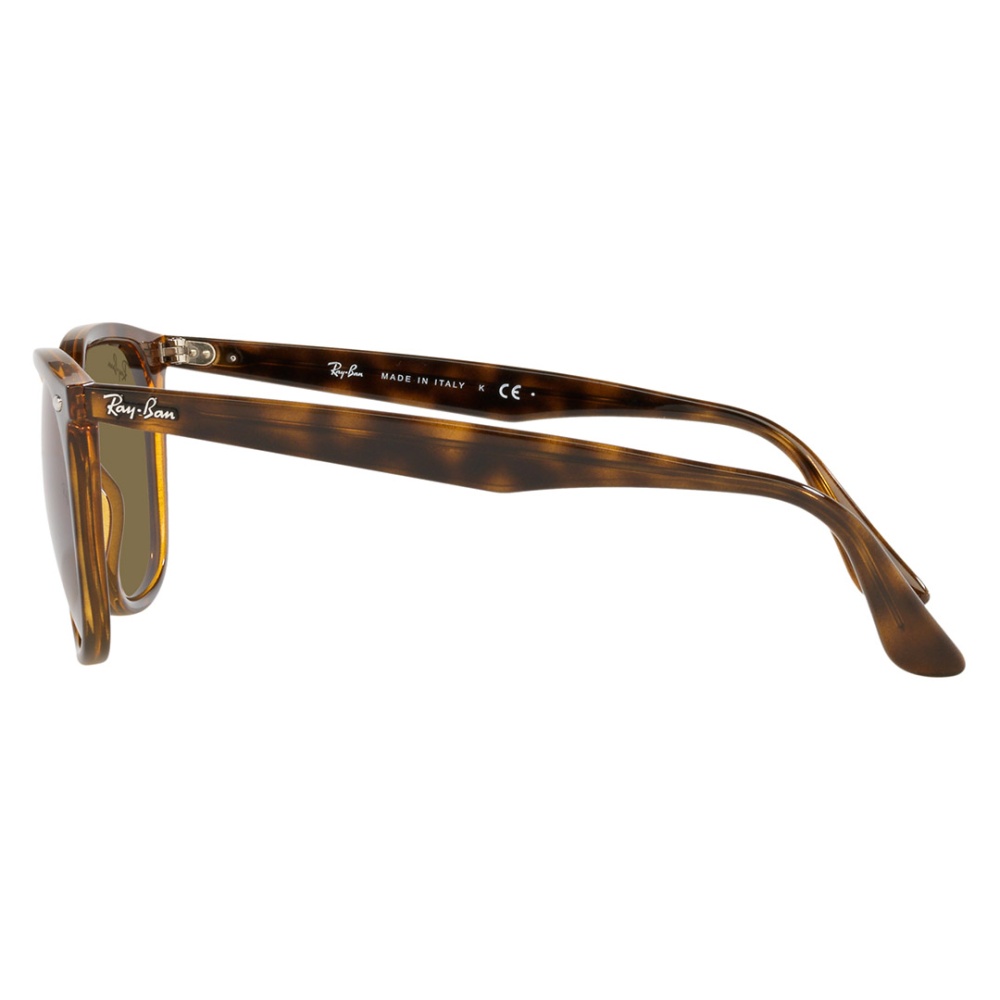 Sunglass - Men