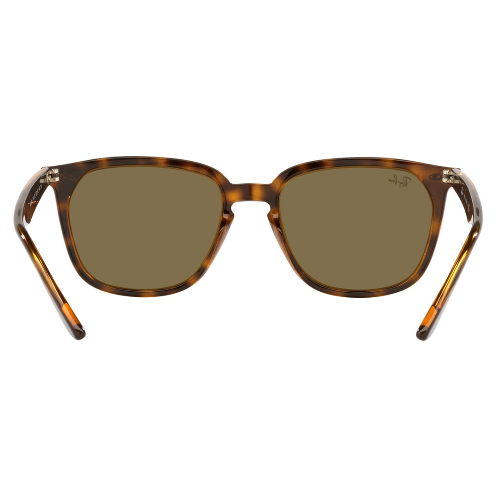 Sunglass - Men