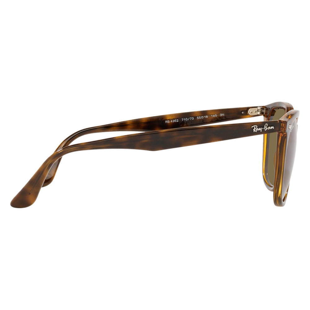 Sunglass - Men