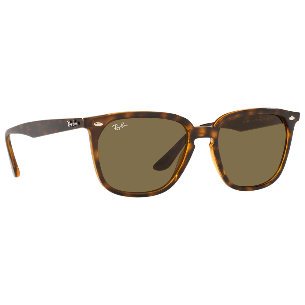 Sunglass - Men