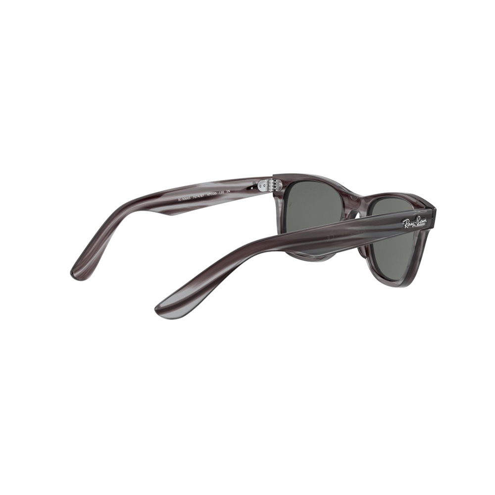 Junior Wayfarer Sunglass - Men