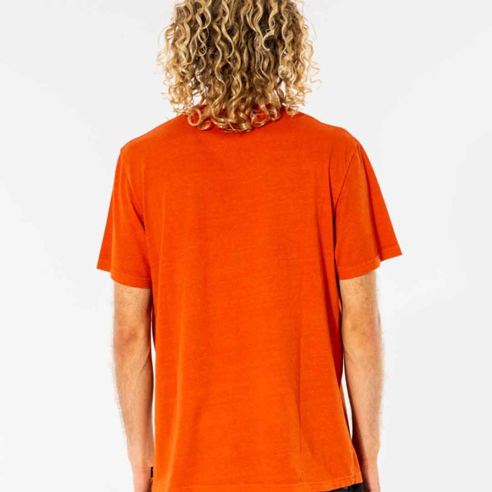 Rip Curl Plain Wash T-Shirt in Dusted Earth