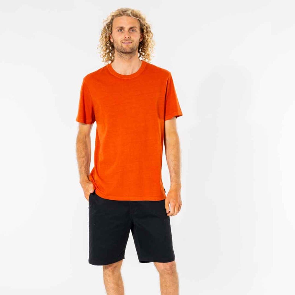 Rip Curl Plain Wash T-Shirt in Dusted Earth